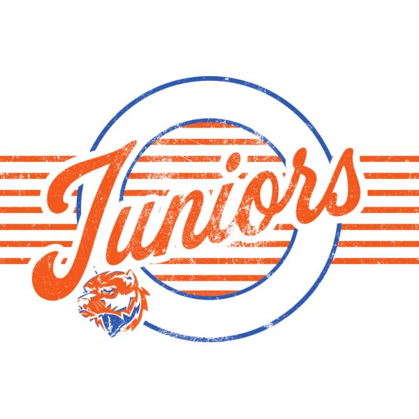 Wesview Juniors Logo 1 Black Thumbnail